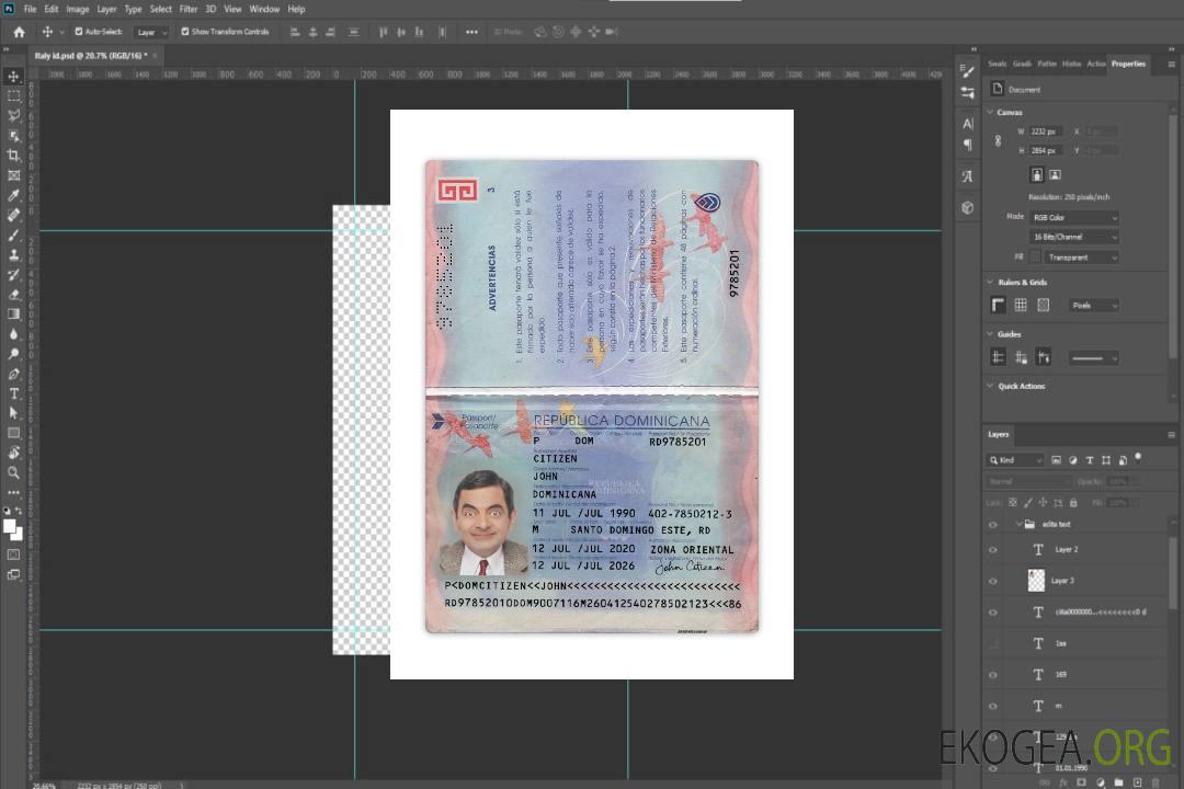 Passeport de la République Dominicaine 2020-présent template